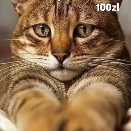 Centrum Stanislawa Moniuszki10 Parking Varsovia