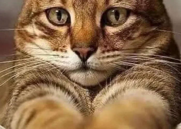 Centrum Stanislawa Moniuszki10 Parking وارسو